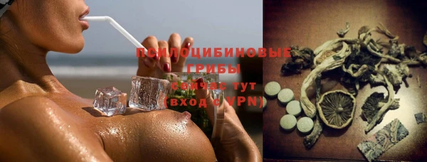 ешки Алзамай