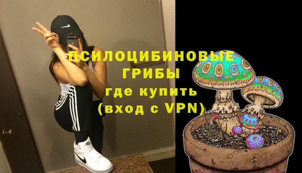 ешки Алзамай