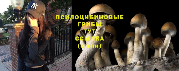 ешки Алзамай