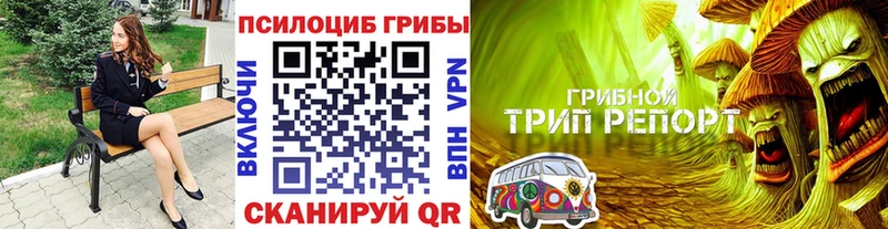 где купить наркотик  Олонец  Псилоцибиновые грибы мухоморы 
